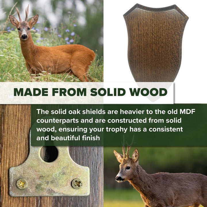 BushWear Solid Oak Roe Skull Shield - Large