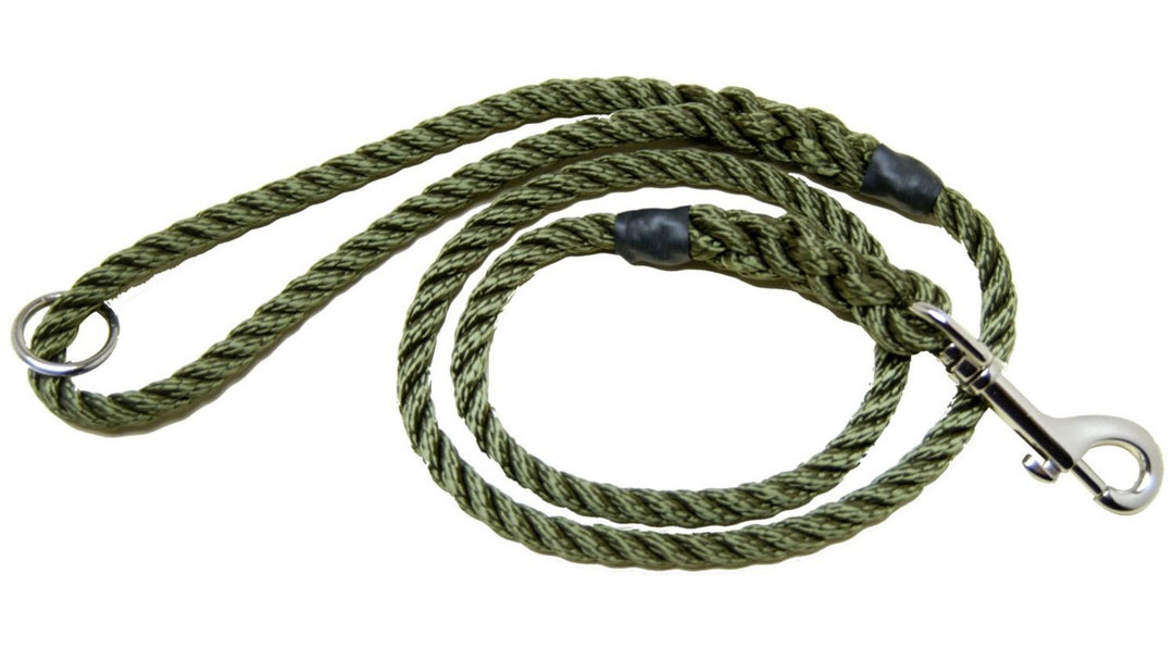 Bisley Clip Ring Lead gundog lead