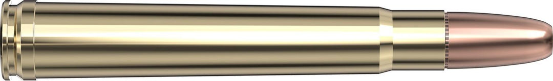 Hornady .375 H&H Magnum 300gr DGS Ammunition