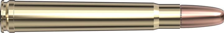 Hornady .375 H&H Magnum 300gr DGS Ammunition