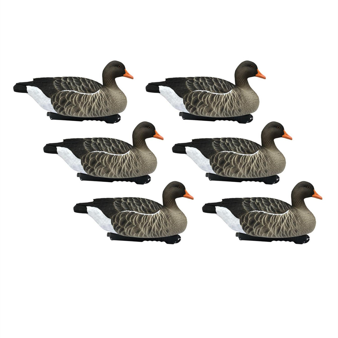Final Approach LAST PASS GREYLAG FLOATER - 6 PACK