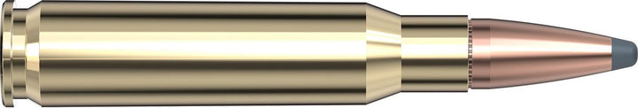 Hornady .308 Win 165gr INTERLOCK Ammunition