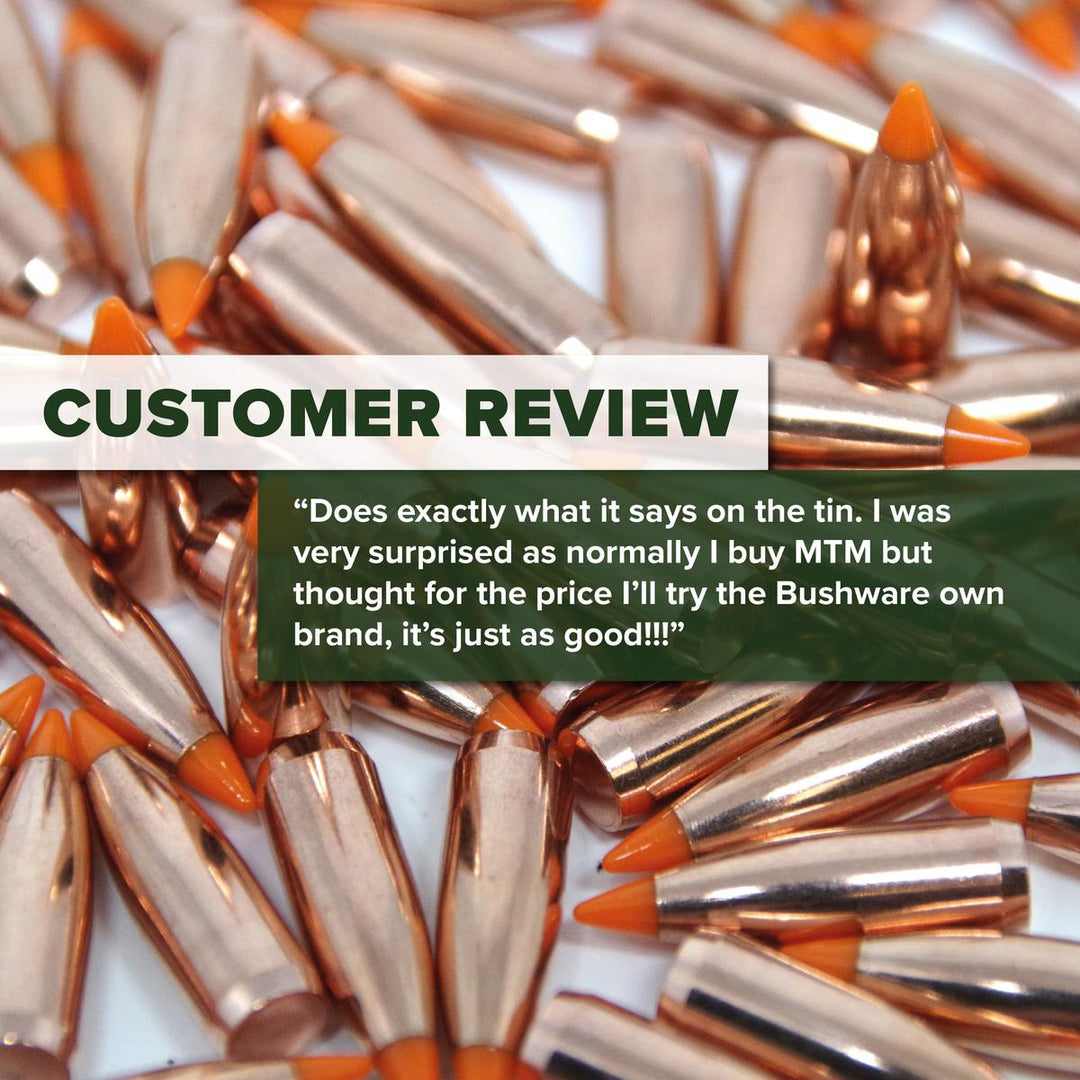 BushWear Deluxe 100rd Ammo Box