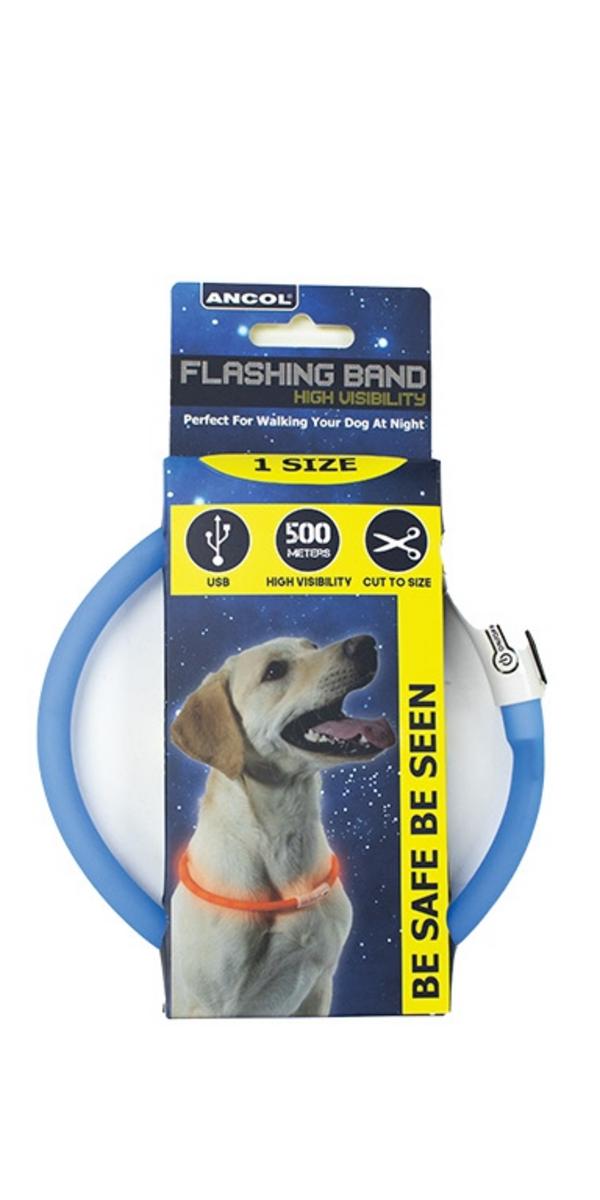 Bisley Collar Flashing LED Rechargeable USB
