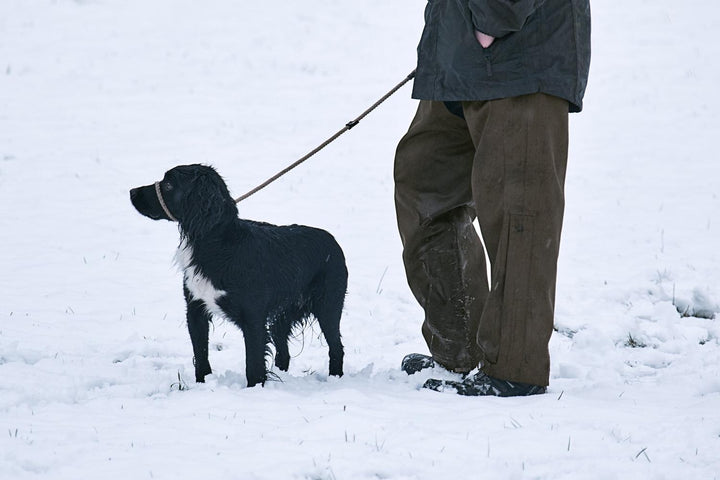 Lifestyle shot: black and white spaniel on a lead in deep snow beside a walker wearing the olive overtrousers, legs only in frame