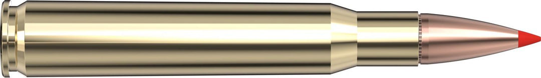 Hornady .30-06 Springfield 165gr SST Ammunition