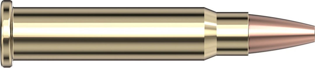 Hornady .17 HMR 20gr XTP Ammunition