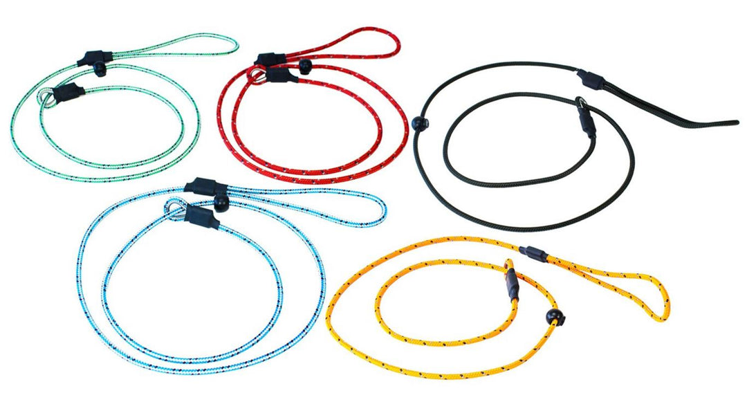 Bisley Field Trial Advanced Blue Dog Lead