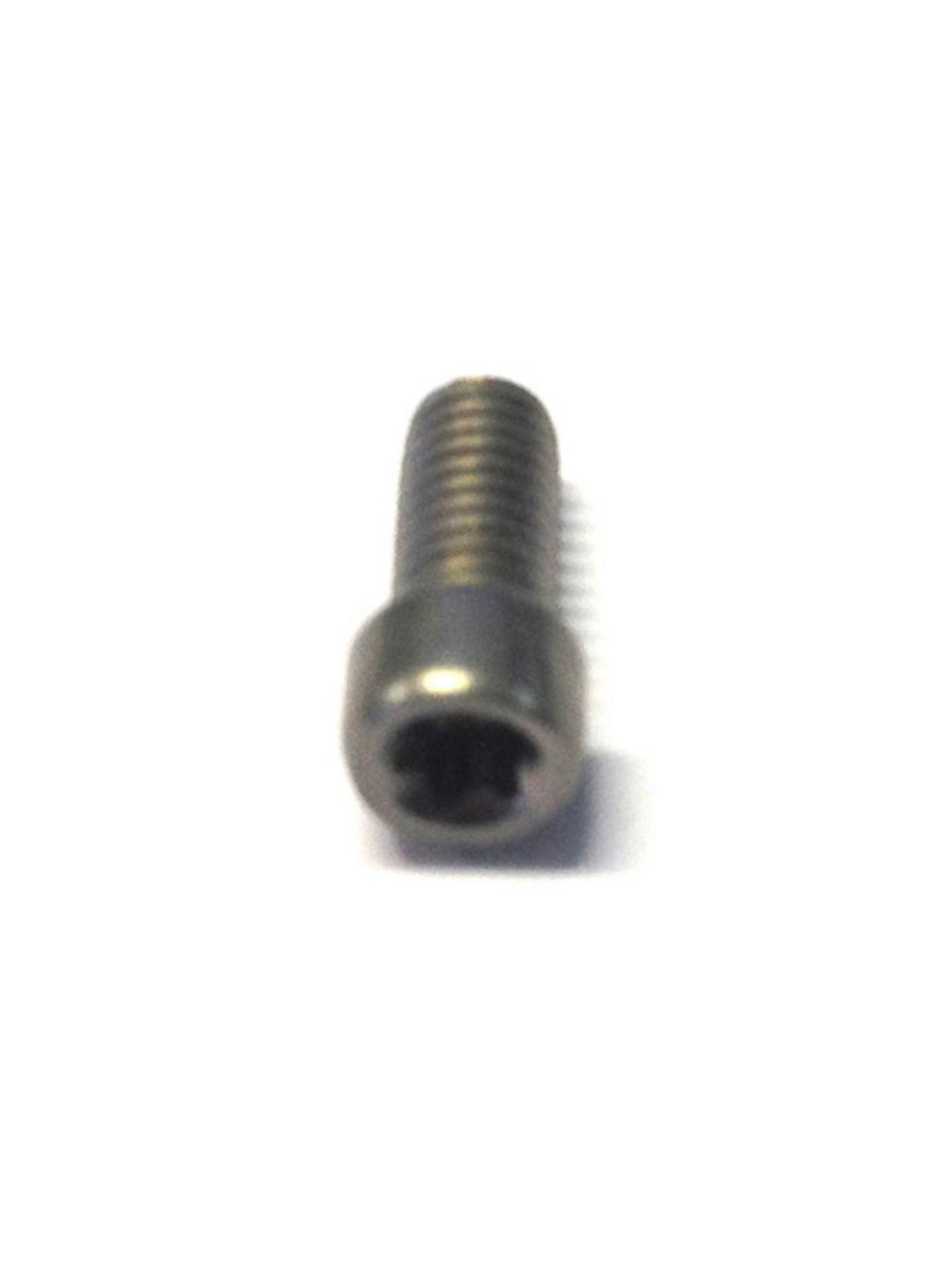 Ring Screw - TORX T10 - Stainless