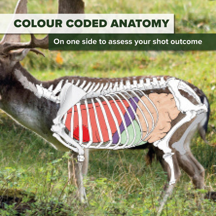 BushWear Fallow Double Sided Deer Target (4pk)