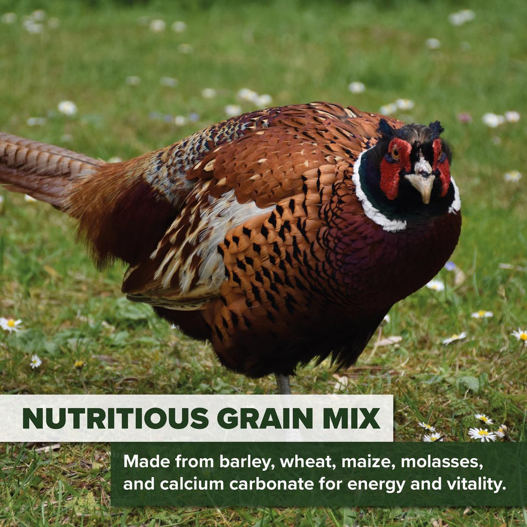 BushWear Pecker Block Pheasant Holding Grain Feed