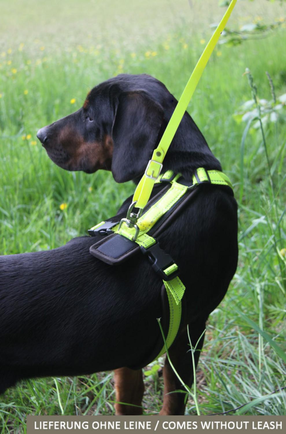 Harness Tracker neon yellow