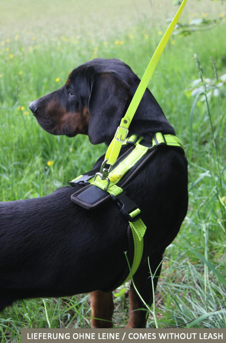 Harness Tracker neon yellow