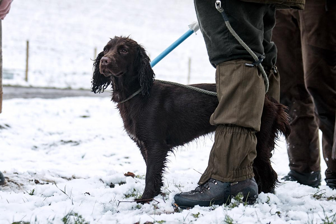 Seeland Buckthorn Gaiters Green