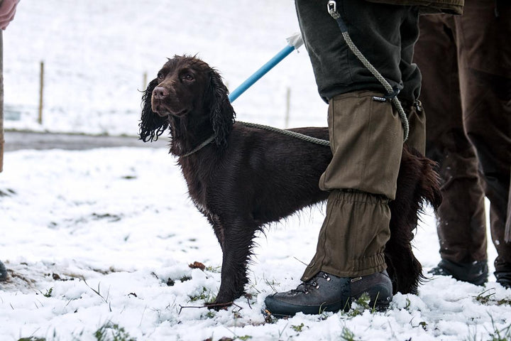 Seeland Buckthorn Gaiters Green