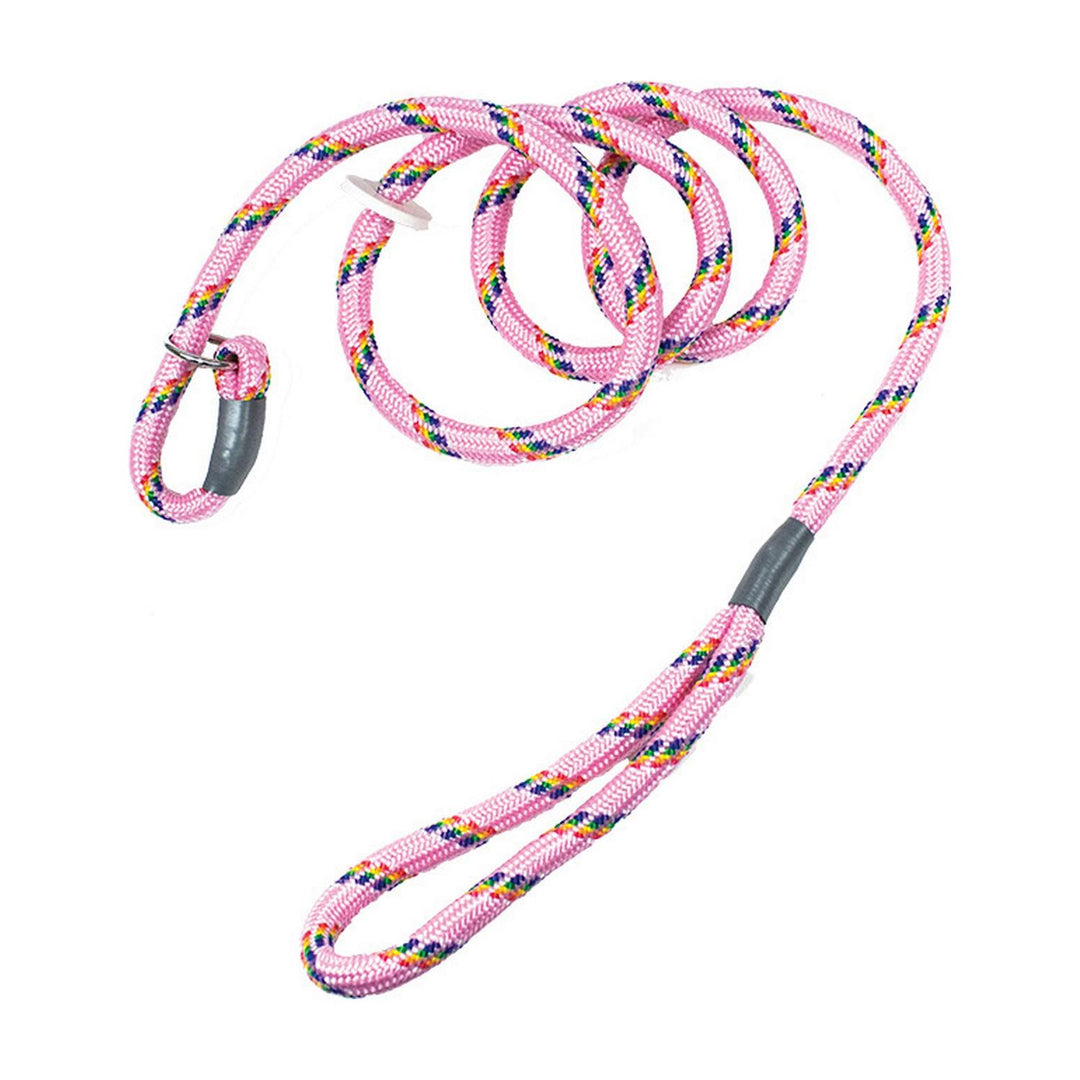Bisley Multicoloured Dog Slip Lead