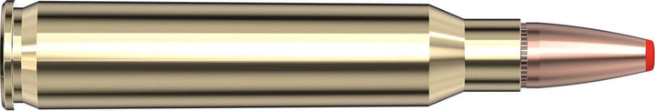 Hornady .223 Rem 73gr FTX Ammunition