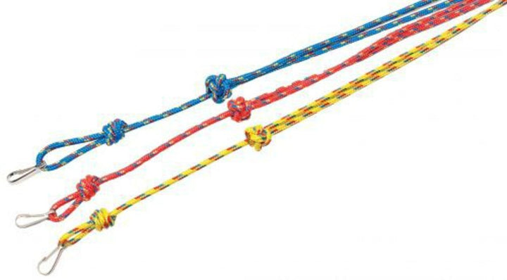 Bisley 3mm Lanyard Multi Coloured