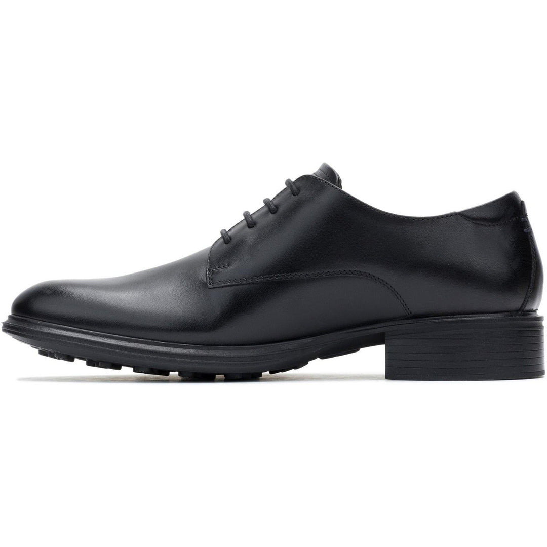 Lewis Oxford BLACK