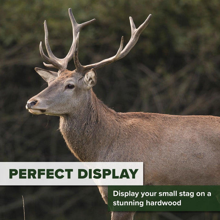 BushWear Solid Oak Small Stag Shield 9"x16.5"