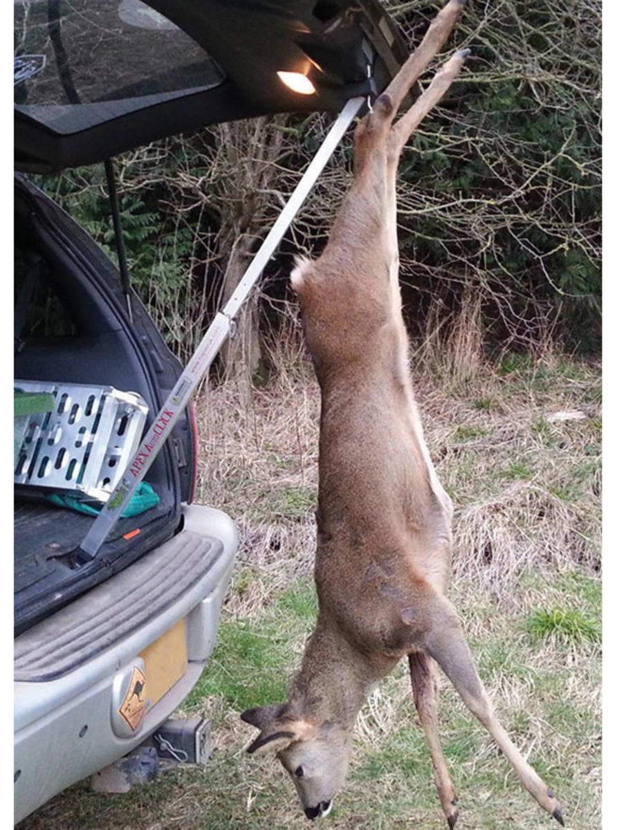 Napier Apex Auto Click - Allows deer carcasses to be suspended safely from the rear door of all vertical lift vehicles. , No tools are required attach this device. It simply clicks IN and OUT 3 seconds.