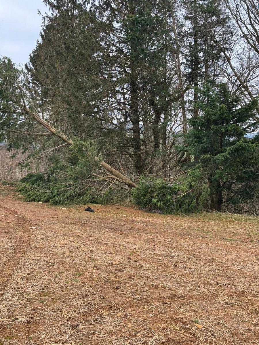 Final Approach FA-233200 Mobile Versatile Panel Blind