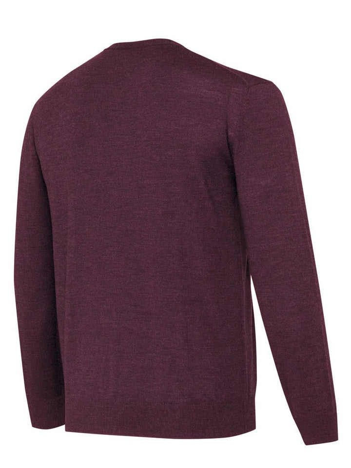 Burgundy Beretta merino V-neck from the rear at a lower angle, showing the ribbed neckline trim and shoulder seams
