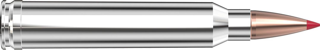 Hornady .300 Win Magnum 180gr CX Ammunition