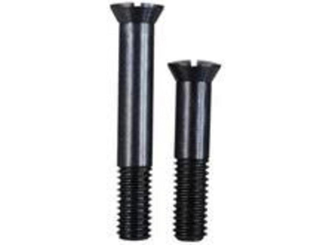 TRIGGER GUARD SCREWS-75 BLUE
