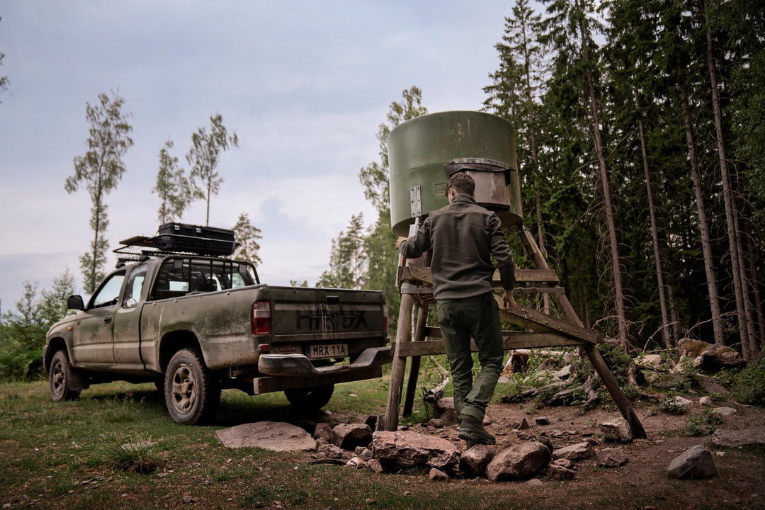 Lifestyle shot: a stalker climbing a ladder to fill a green game feeder beside a pickup loaded with kit, forest clearing