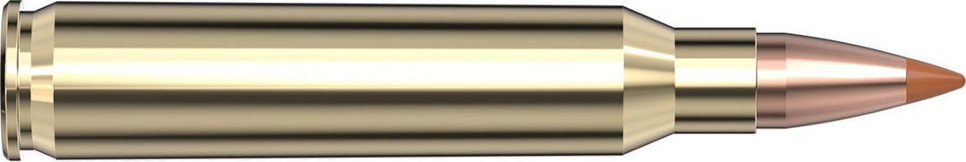 Hornady .223 Rem 35gr NTX Ammunition