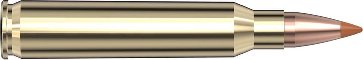 Hornady .223 Rem 35gr NTX Ammunition