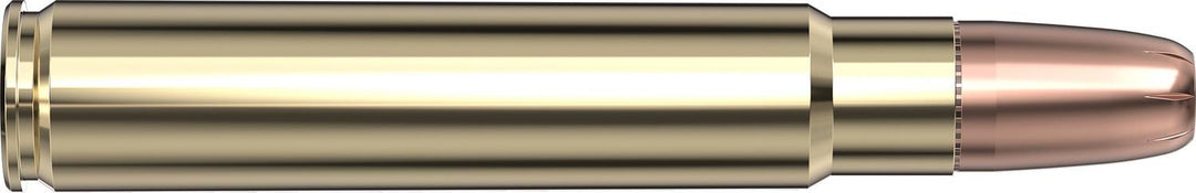 Hornady .416 Ruger 400gr DGX BONDED Ammunition