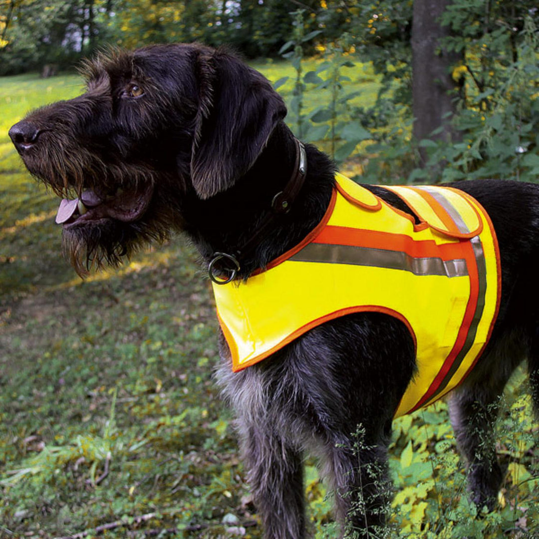Reflector-vest for dogs