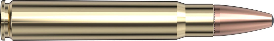 Hornady 9.3x62 286gr SP-RP INTERLOCK Ammunition