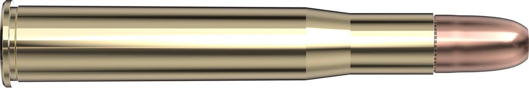 Hornady .450-400 Nitro Express 3" 400gr DGS Ammunition