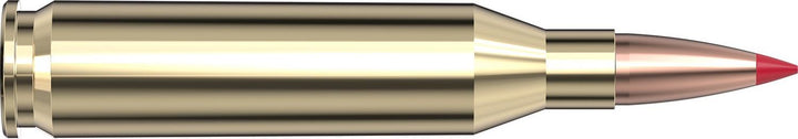 Hornady .243 Win 90gr ELD-X Ammunition