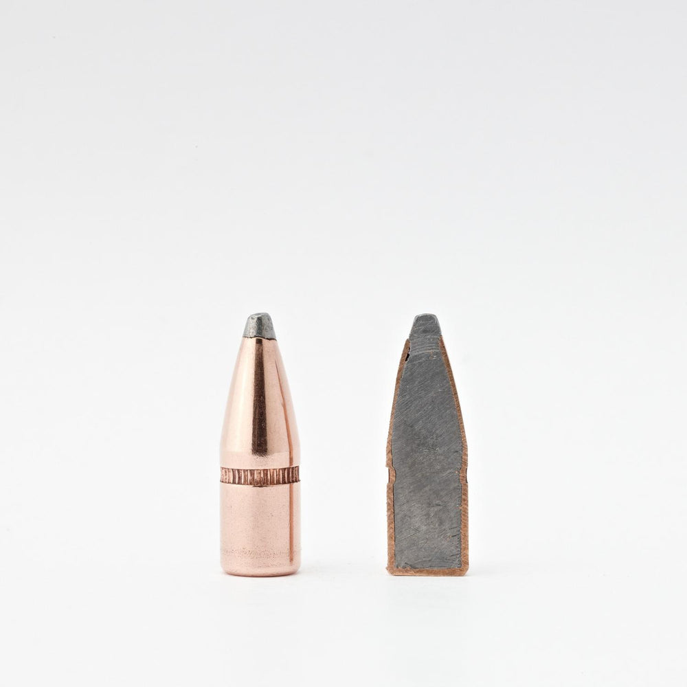 Hornady 22 Cal .224 55 gr SP – view 2