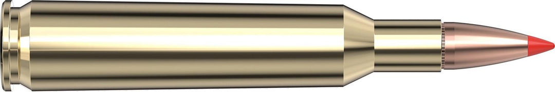 Hornady 6mm Rem 95gr SST Ammunition