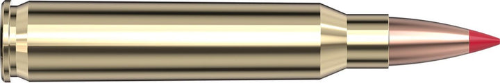Hornady .223 Rem 73gr ELD MATCH Ammunition