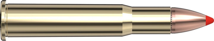 Hornady .32 Win Special 165gr FTX Ammunition