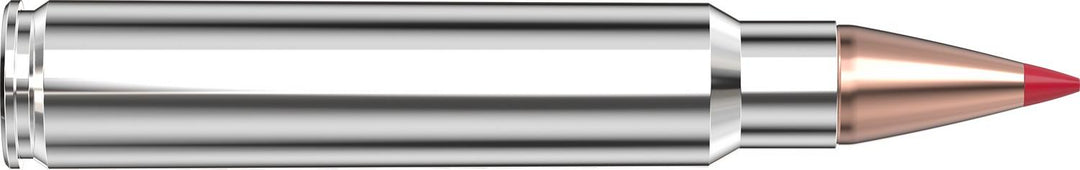 Hornady .375 Ruger 250gr CX Ammunition