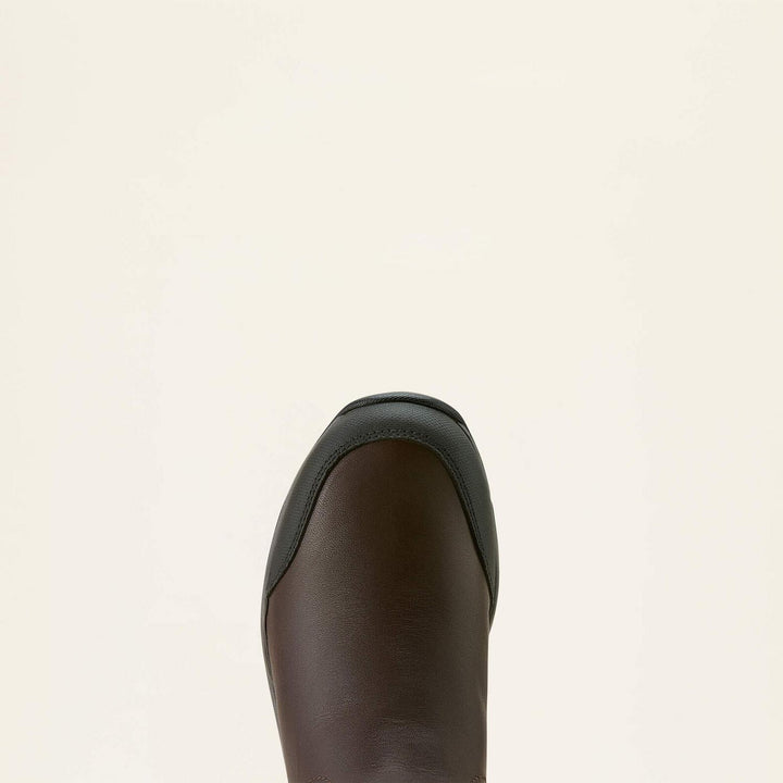 Ariat Ladies Telluride Tall Waterproof Boot