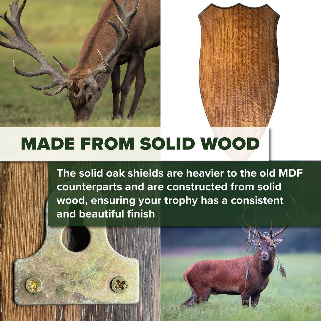 BushWear Solid Oak Red Stag Skull Shield