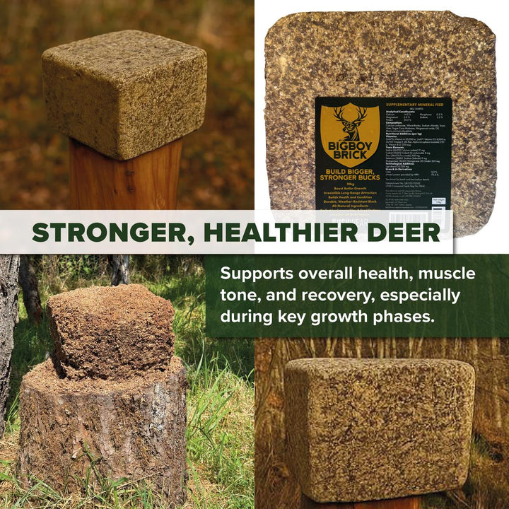 BushWear BigBoy Brick Deer Food Block 10kg