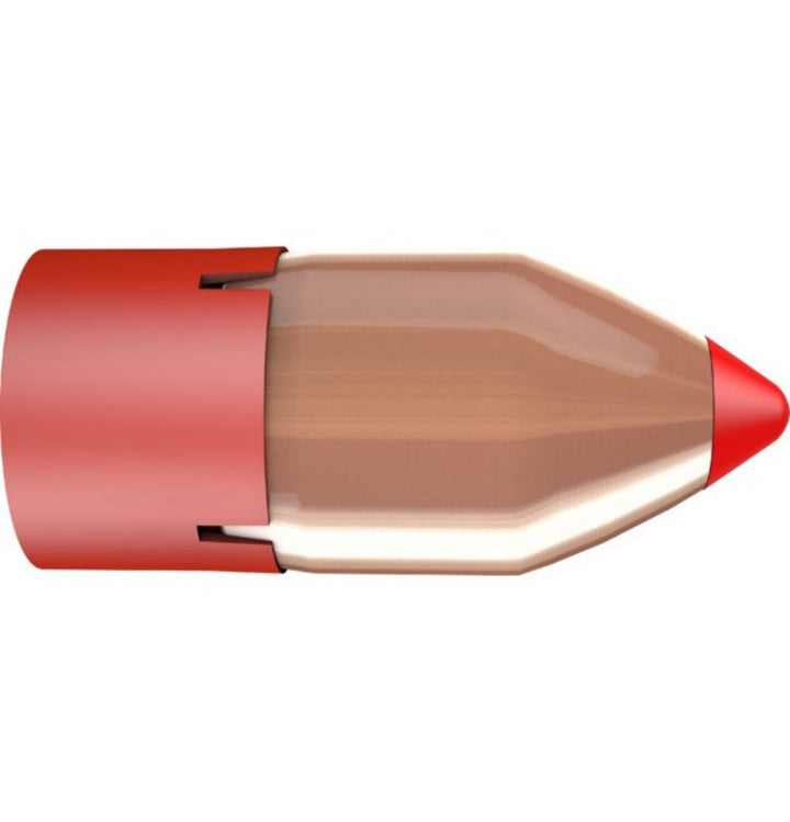 Hornady 50 Cal 290 gr FTX Bore Driver