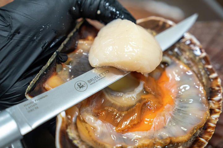 Brusletto Hunter Premium Chef - Flexible Filleting Knife (16.7)