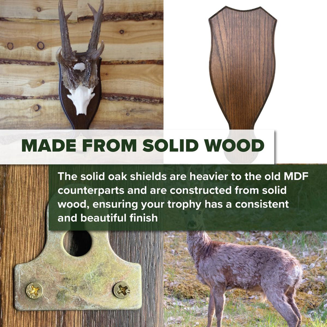 BushWear Solid Oak Roe Skull Shield - Medal Inlet