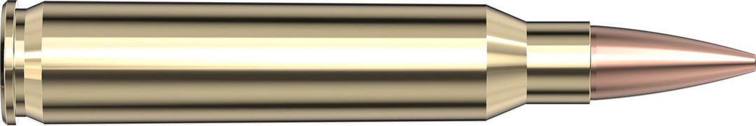 Hornady .223 Rem 75gr BTHP MATCH Ammunition