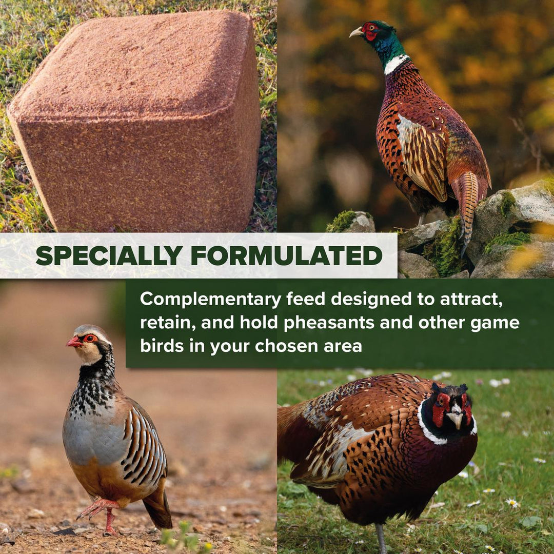 BushWear Pecker Block Pheasant Holding Grain Feed